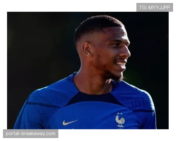 尼斯官方确认主力中卫托迪博因肌肉疲劳缺席本轮联赛